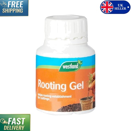 Transparent organic rooting - transparent,