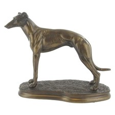 MALE STANDING GREYHOUND