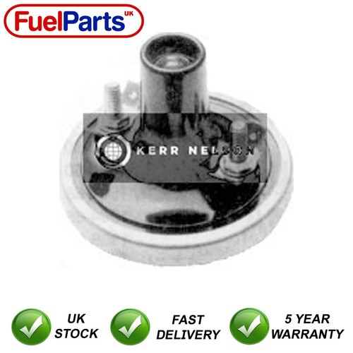 Kerr nelson ignition - nelson, pack