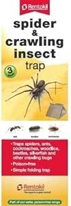 Pack spider crawling - 3,