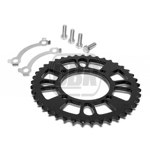 Tooth 428 rear - 41,