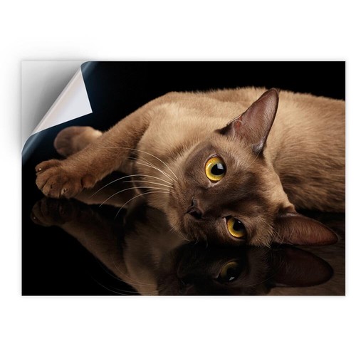 Vinyl sticker burmese - sticker,