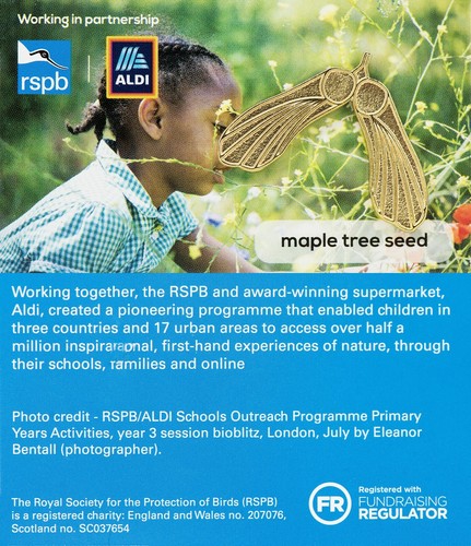 Rspb pin badge aldi maple - rspb,