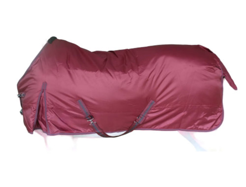 Burgundy horse blanket equine - horse,