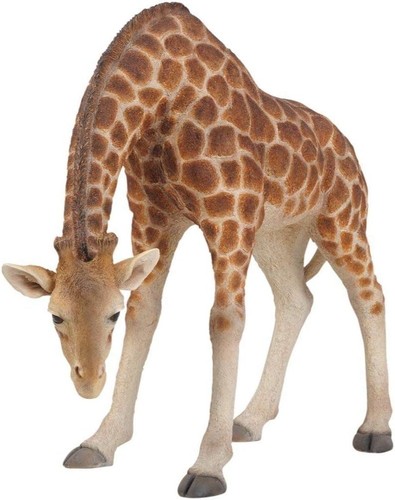 Vivid arts giraffe - vivid,