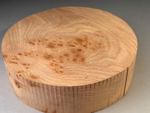 Burr elm wood turning - elm,