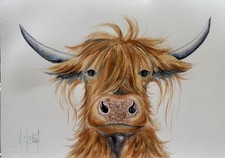 A3 Highland cow ORIGINAL(Not a Print) A3 LARGER SIZE Watercolour Painting