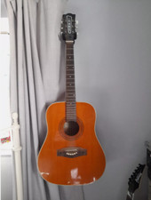 Eko Ranger 6 string acoustic