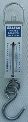 Vintage salter pocket - salter,