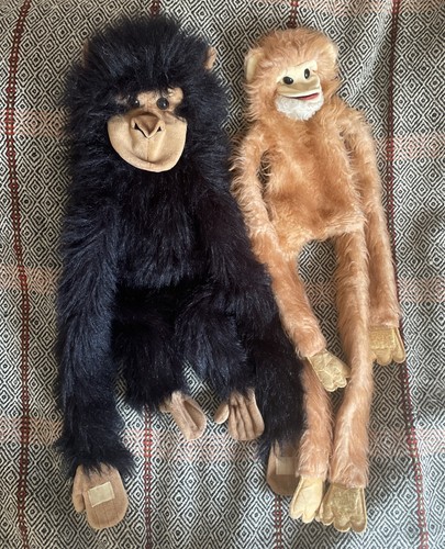 Rare hansa monkey - hansa,