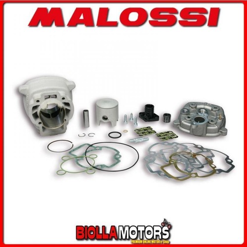 318455 thermal group malossi - thermal,