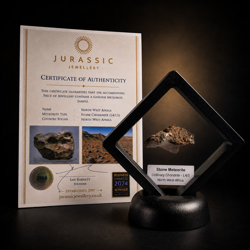 Genuine stone chondrite - genuine,