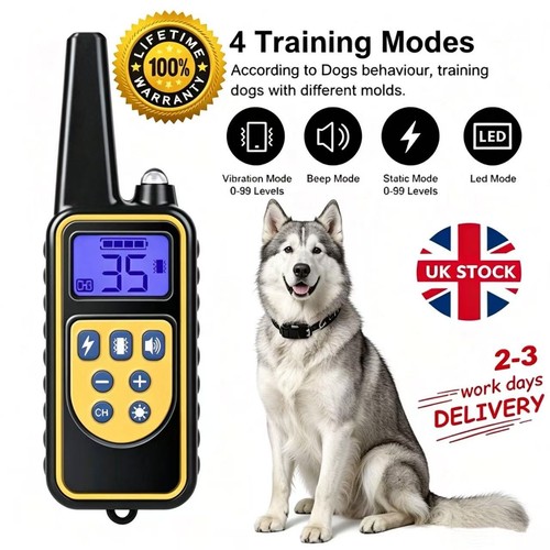 800m electric pet - 800m, training