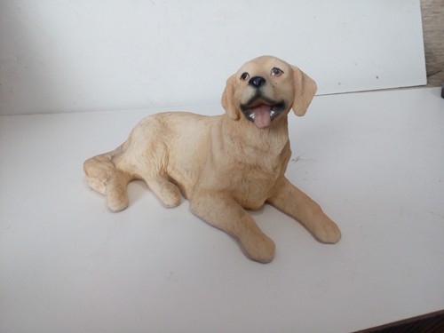 Dogs leonardo labrador - dogs,,