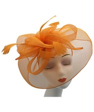 Large Women Fascinator Headband Clip Hat Flower Net Royal Ascot Race Weddings