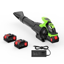 3000W Cordless Electric Leaf