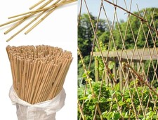 5ft Bamboo Canes Thick Garden