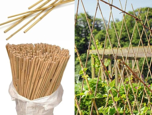 5ft bamboo canes thick - 5ft,