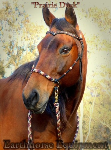 Earthhorse equipment brow - earthhorse,