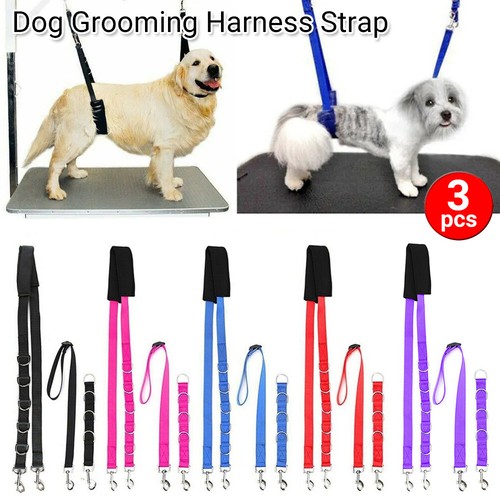 3pcs dog grooming - dog,