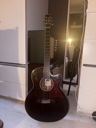 Tanglewood tw4 electric - tanglewood, bs