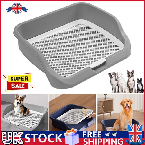 Pet puppy dog training - puppy,