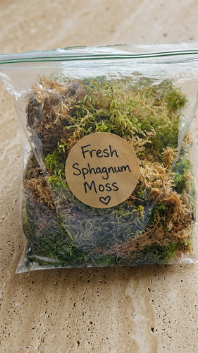Litres fresh sphagnum moss - sphagnum,