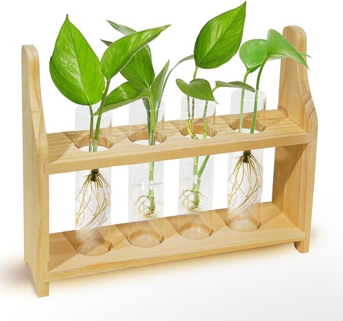 Plant propagation station - propagation,