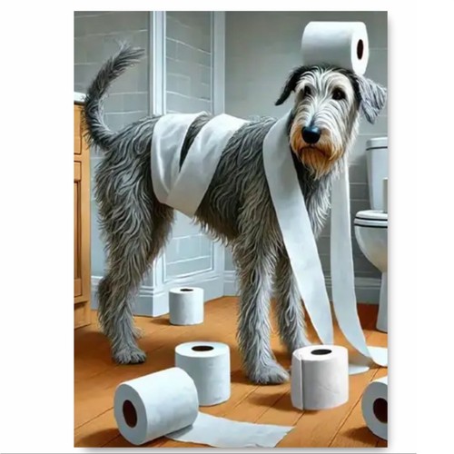 Irish wolfhound dog funny - irish,