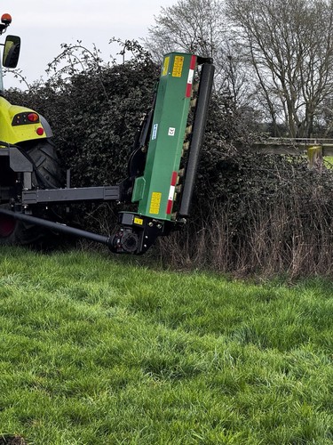 Offset verge flail - ,
