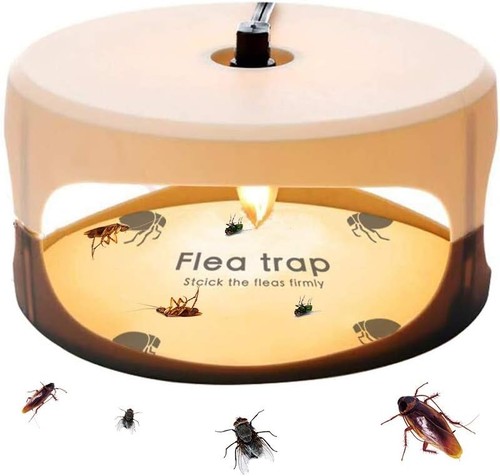 Electric flea trap - trap, light