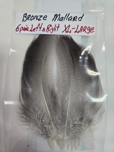 Lot pair mallard - , "