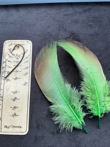 Premium dyed bronze mallard - dyed,