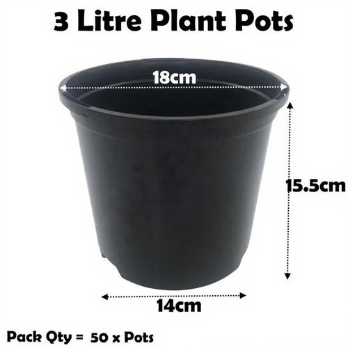 Litre black plant - 3,