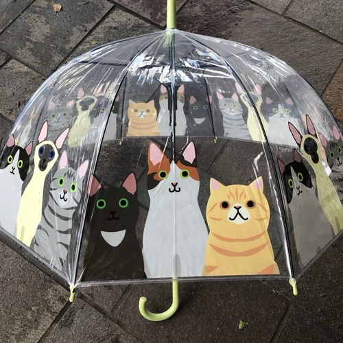 Ladies cats umbrella walking - ladies,