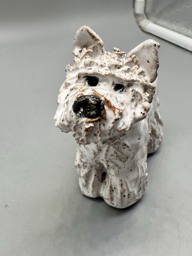 White westie west highland - westie,