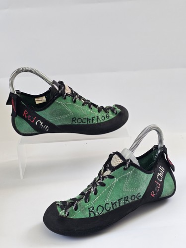Red chili rockfrog climbing - rockfrog,