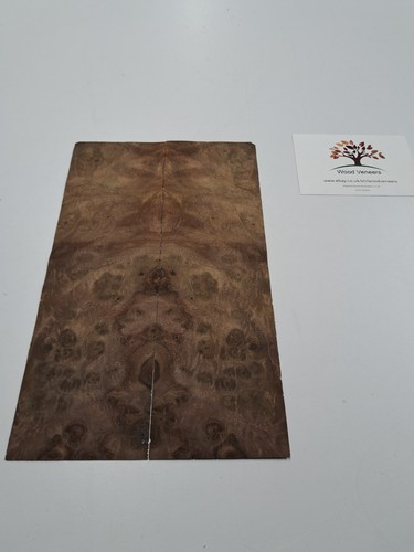 Burr walnut veneer - -, 2
