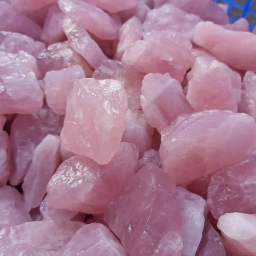 Kilo genuine rough rose - kilo,