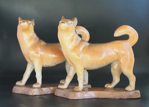Vintage japanese akita - x,