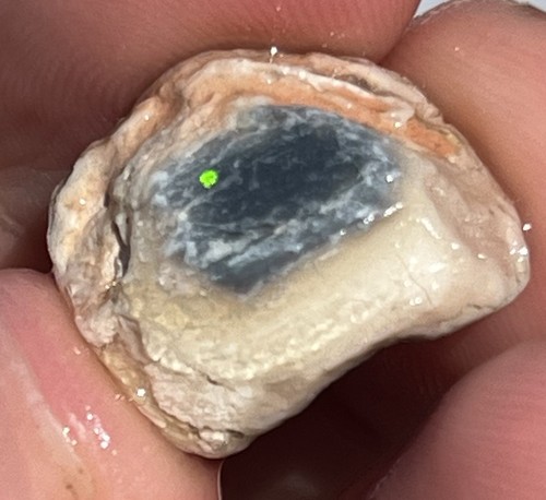 Black opal shell - black,