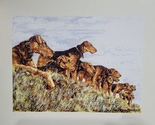 Army Airedale Terrier Print By