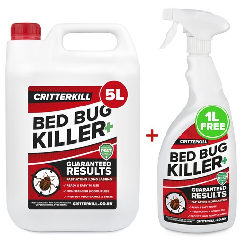 Strong bed bug treatment - bed,