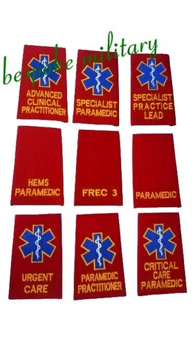 Ambulance paramedic emt - paramedic,