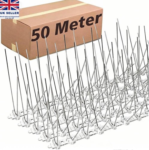 50m pigeon bird spikes wall - bird,