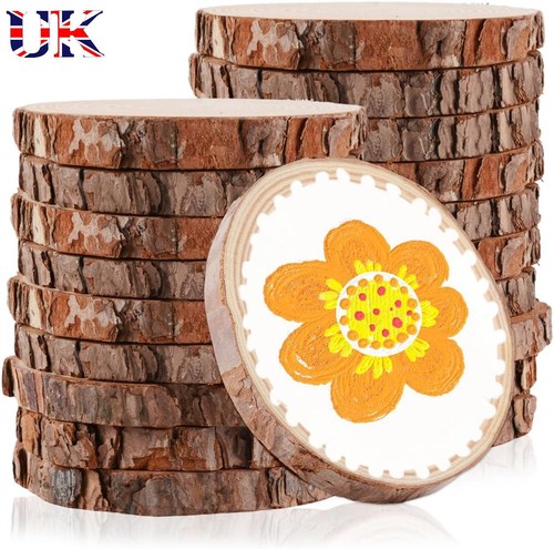 Wood slices discs - slices, tree