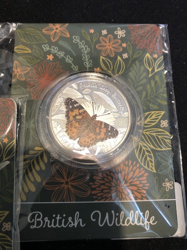 Painted lady butterfly - painted,
