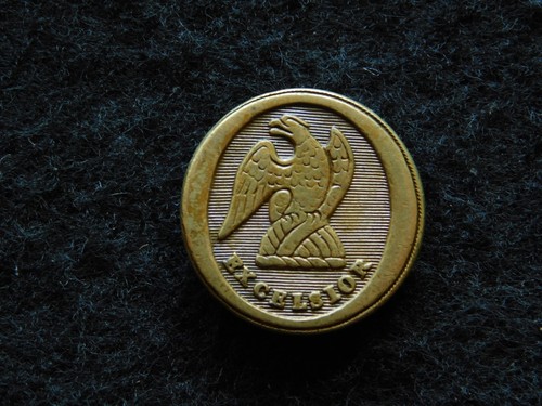New york 1820s militia button - 1820s,