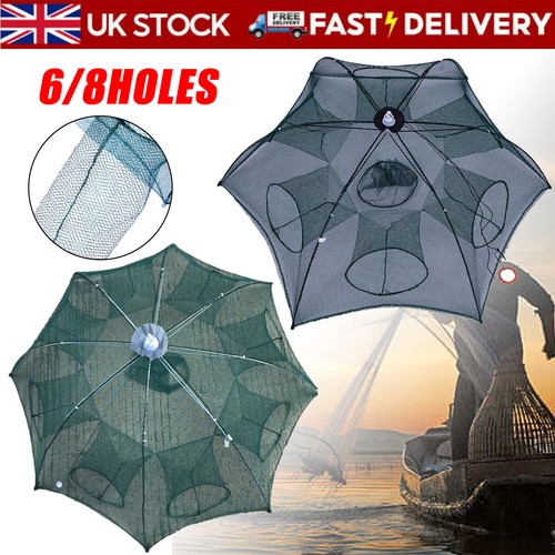 8hole fishing bait - fishing, trap