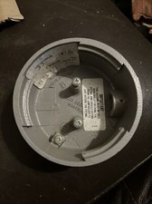 Vintage Thorn Outdoor Light